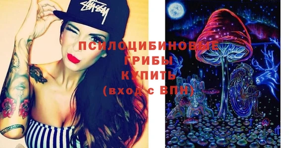 мескалин Новозыбков