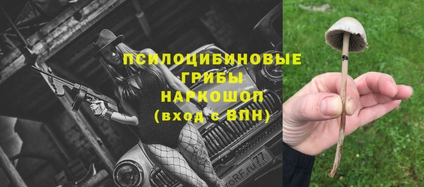 кристаллы Новокубанск