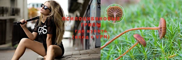скорость Новодвинск