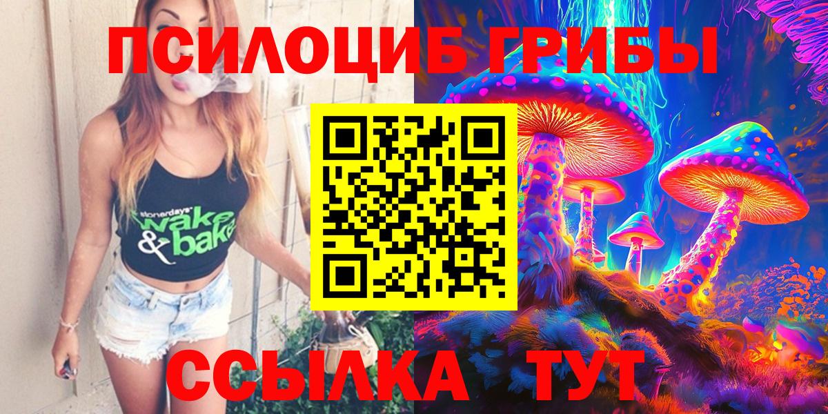 Псилоцибиновые грибы Psilocybine cubensis  Вход с VPN  Кулебаки 
