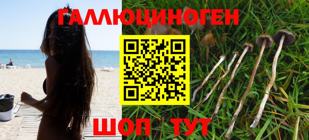 Галлюциногенные грибы ЛСД  Кулебаки  Галлюциногенные грибы Psilocybine cubensis 