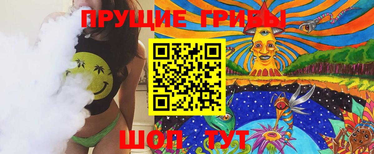 Галлюциногенные грибы Psilocybe Кулебаки