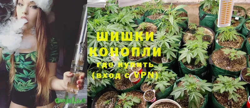 mega маркетплейс  Кулебаки  МАРИХУАНА THC 21% 